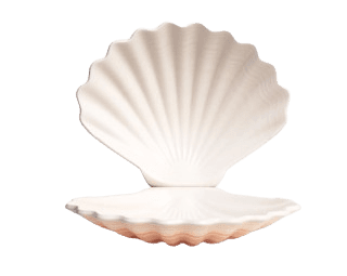 shell